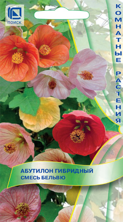 Абутилон гибридный смесь 0,1г (Поиск)