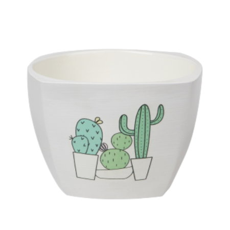 Кактус клуб №2 Квадрат D12 (СД)