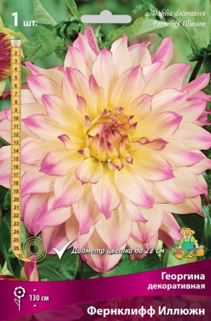 Георгина Фернклифф Иллюжн 1шт (Поиск)