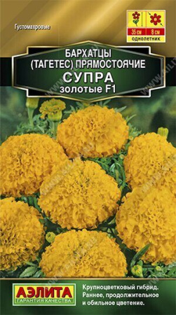 Бархатцы Супра золотые F1 7шт (Аэлита)