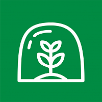 Пленка