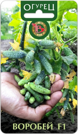 Огурец Воробей F1 10шт (Биотехника)