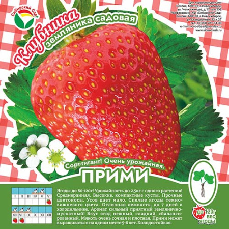 Клубника Прими А 10шт/пучок (Сиб сад)