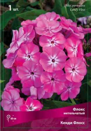 Флокс Кэнди Флосс 1шт (Поиск)