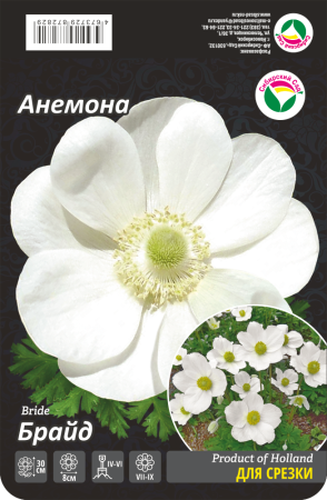Анемона Брайд 5/6 15шт (Сиб сад)