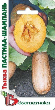 Тыква Пастила-Шампань 5шт (Биотехника)