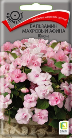 Бальзамин АФИНА Юнона махровый однолетник 5шт (Поиск)