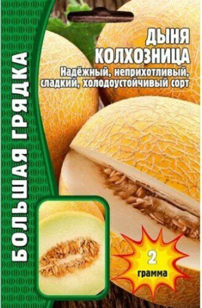 Дыня Колхозница 30шт (Ред.Сем)