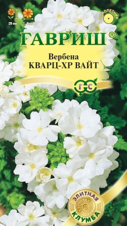 Вербена Кварц-ХР Вайт однолетник 4шт (Гавриш)