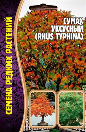 Сумах уксусный 20шт (Ред.сем)