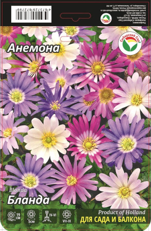 Анемона Бланда 5/6 15шт (Сиб сад)