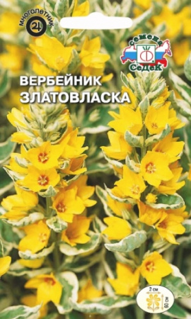 Вербейник Златовласка многолетник 0,1г (Седек)