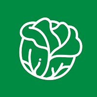 Капуста краснокачанная