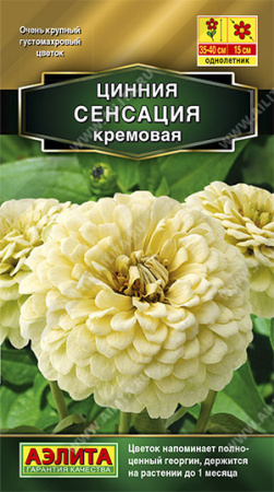 Цинния Сенсация кремовая однолетник 12шт (Аэлита)