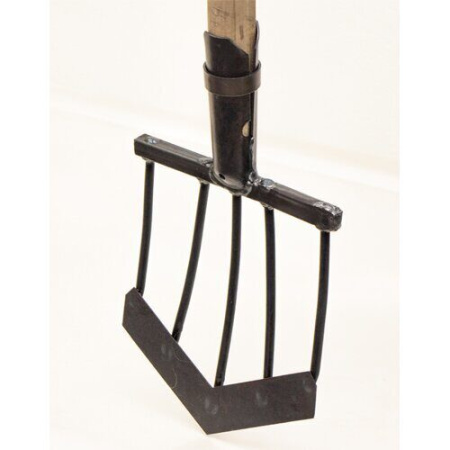 Лопата Солнышко (Азия)