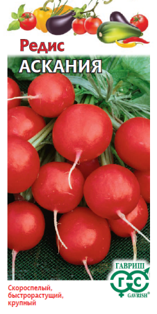 Редис Аскания 2г (Гавриш)