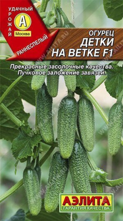 Огурец Детки на ветке F1 10шт (Аэлита)