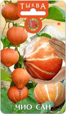 Тыква Чио Сан 6шт (Биотехника)