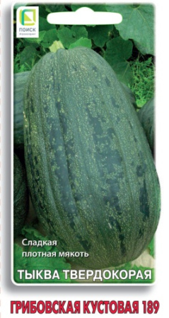 Тыква Грибовская кустовая 189 10шт (Поиск)