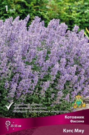 Котовник Кэтс Мяу 1шт (Поиск)